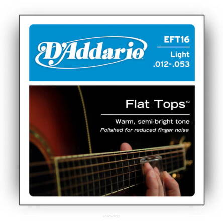 Struny D'Addario EFT16 Flat Tops Light 12-53 struny do gitary akustycznej