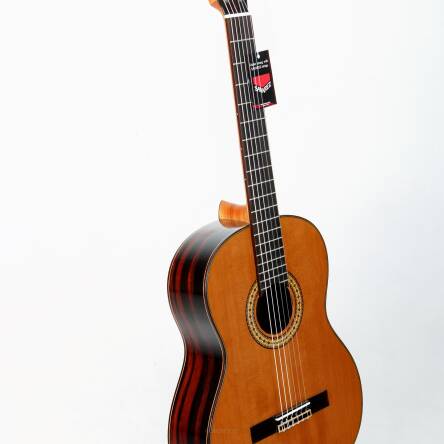 SEGOVIA CG-110C 4/4 gitara klasyczna