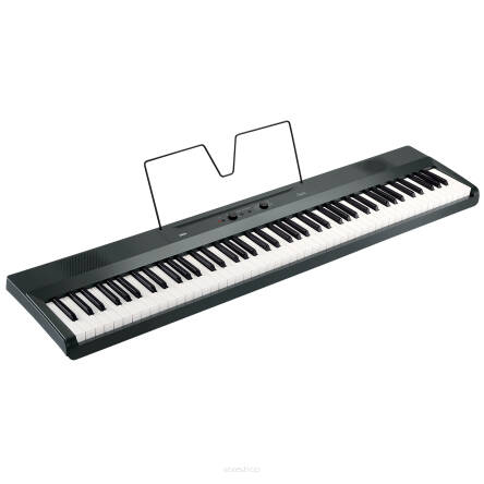 KORG LIANO pianino cyfrowe Metallic Gray