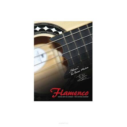 ABSONIC DVD Flamenco nauka gry na gitarze