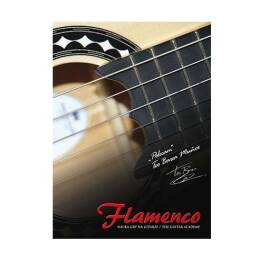 ABSONIC DVD Flamenco nauka gry na gitarze