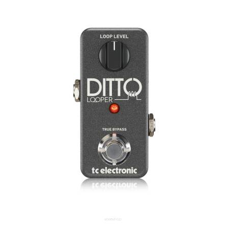 TC Electronic Ditto+ Looper efekt gitarowy