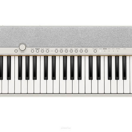 Casio CT-S1 WE keyboard