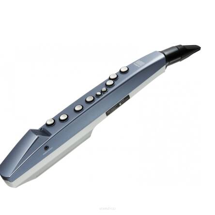 Roland AE-01 Aerophone Mini cyfrowy instrument dęty