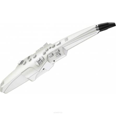 Roland AE10 Aerophone cyfrowy instrument dęty